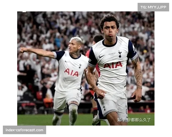 欧足联表彰热刺球迷在欧联杯决赛中的文明行为无违规事件报告