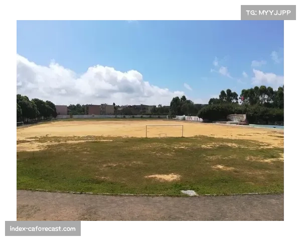 德罗西之子助力街头球场建设 复兴多元足球文化